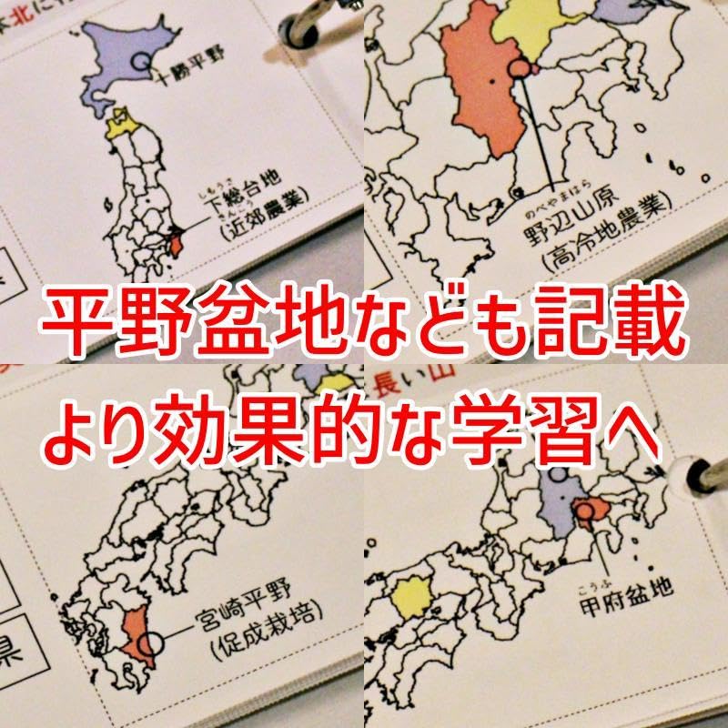 Amazon.co.jp: 地理データバンク 一次産業 暗記カード 中学受験 中学