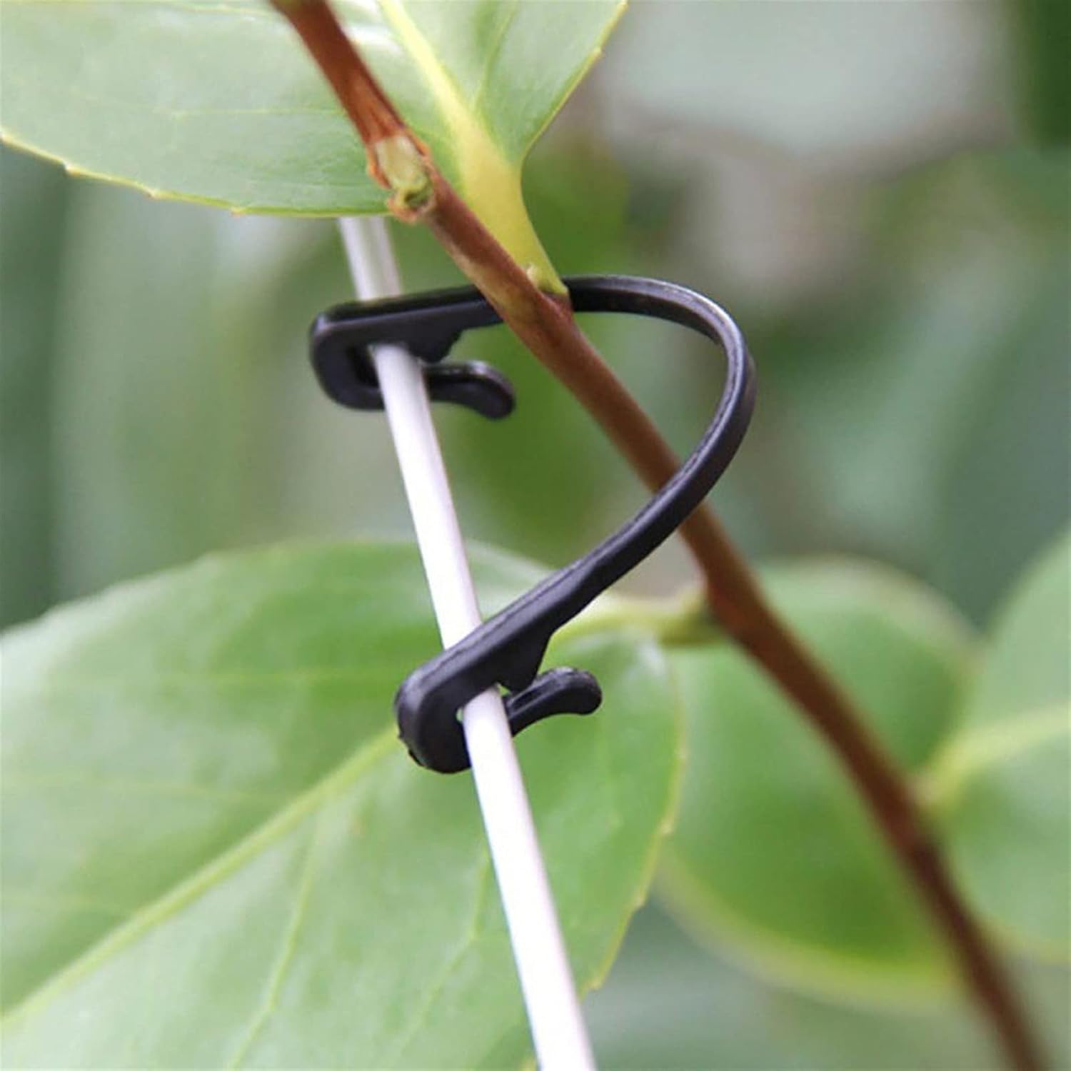 Plants Trellis, Garden Plant Supports 50pcs Durable Plastic Clips Types Plants Hanging Garden Greenhouse Garden Ornament s for Garden