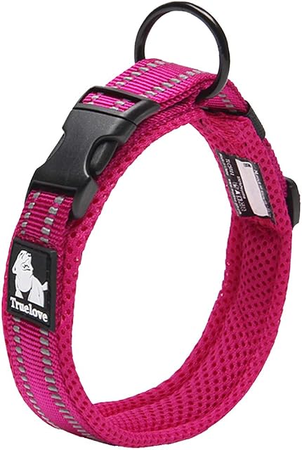 Truelove Dog Training Collar TLC5011 Reflective Premium Buckle Nylon Webbing Pet Dog Collars,High Grade Nylon Webbing No Choke Basic Collars Now Available (XS, Fushcia)