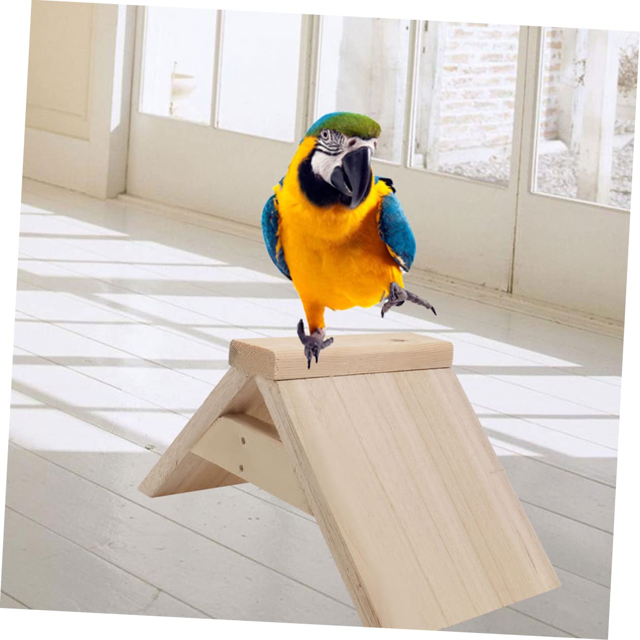 COLLBATH Lot De 5 Perchoirs à Pigeons en Bois Naturel Support Stable pour Oiseaux Surface Lisse Polie Adapté Cages à Oiseaux Et Pigeonniers Accessoire De Loisirs pour Perroquets Et