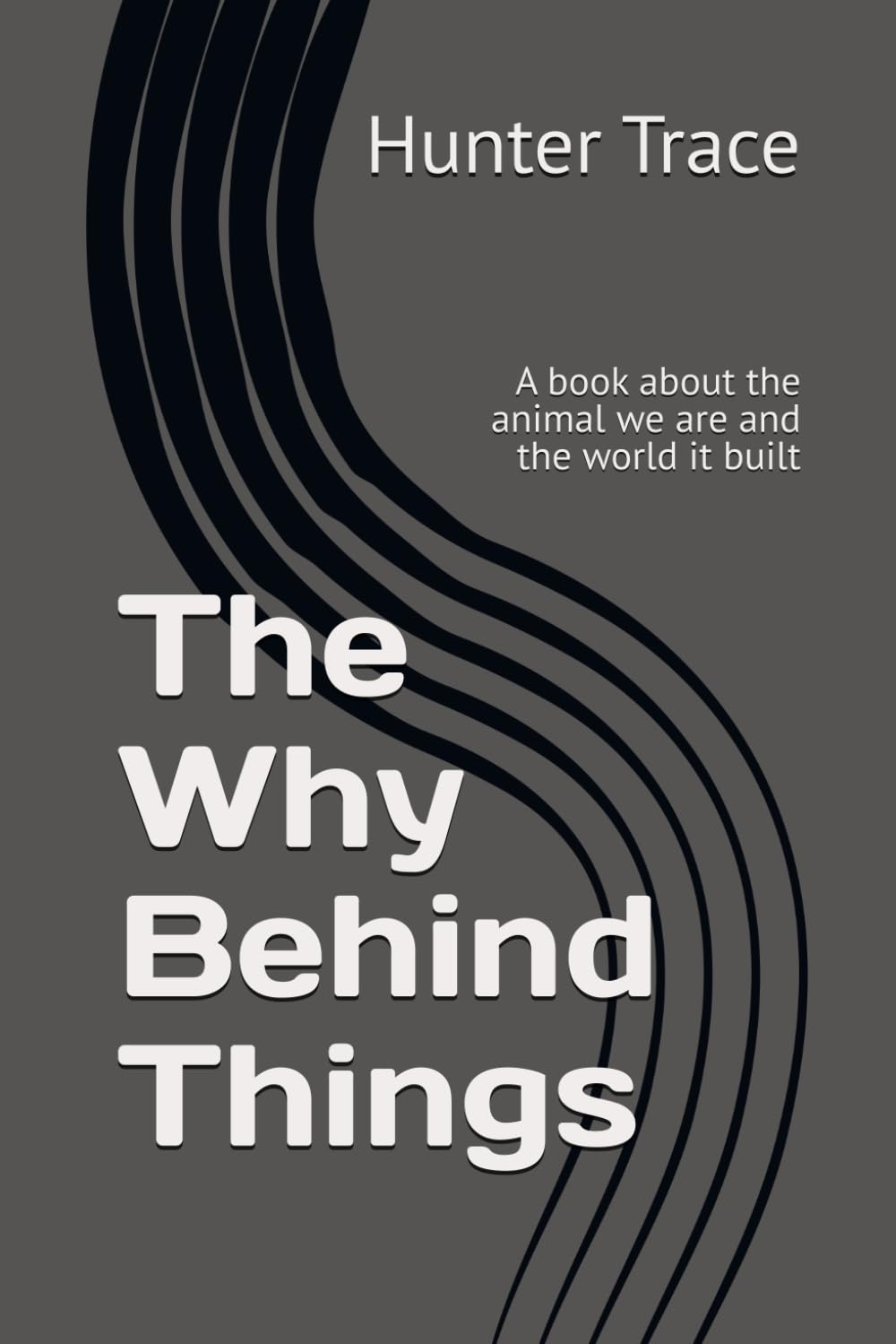 The Why Behind Things: A book about the animal we are and the world it built