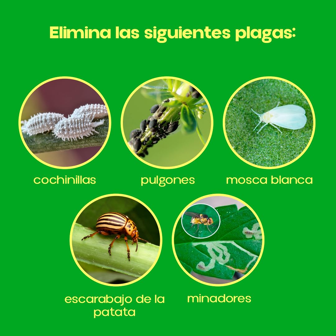 Insecticida Sistémico Epinsel 250ml | Insecticida Eficaz Anti Pulgones, Cochinilla, Mosca Blanca, Escarabajo de Patata y Minadores | Protección Hasta 4 Semanas en Jardines y Huertos | Nexum Market