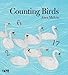 Counting Birds