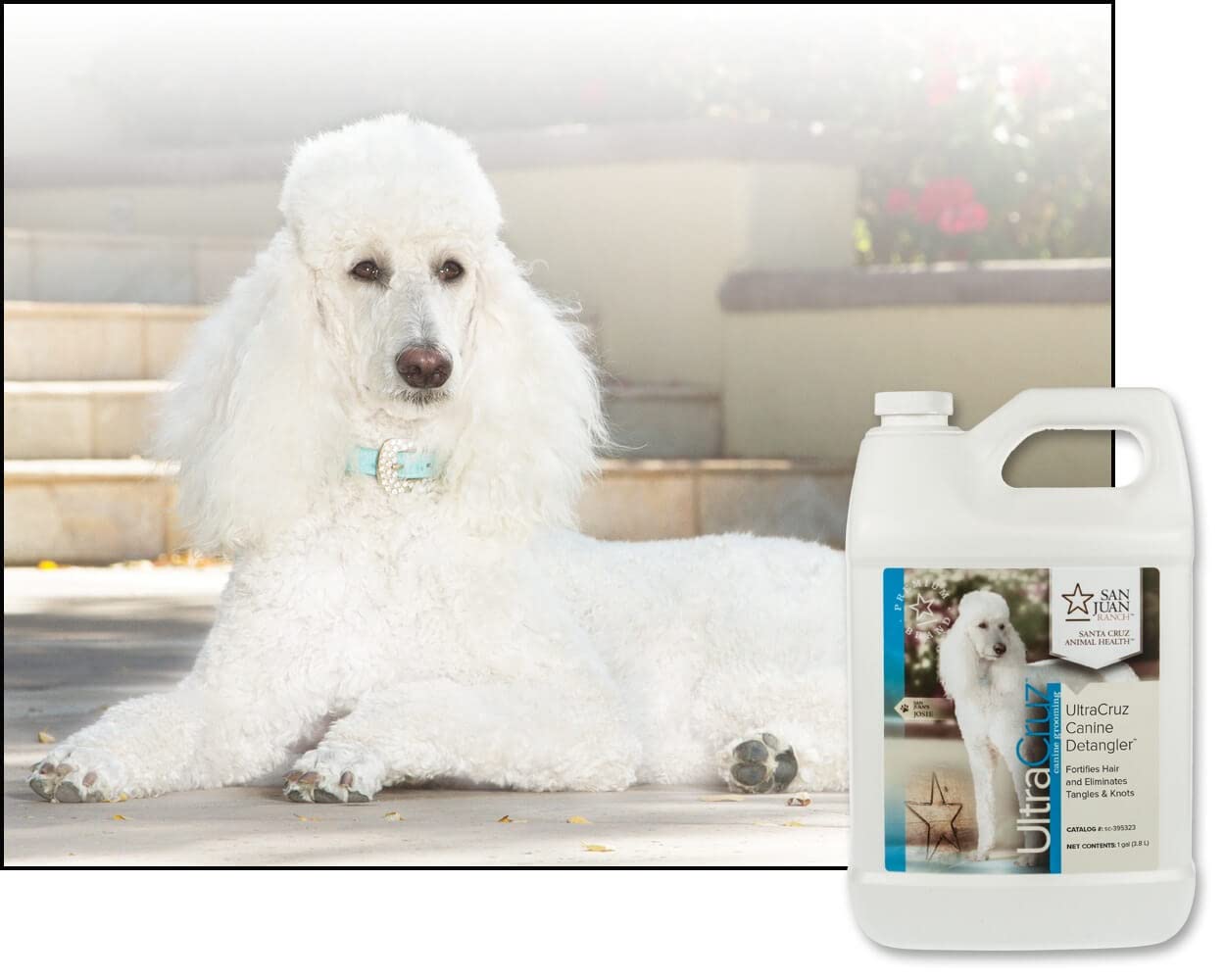 UltraCruz Fellentwirrer für Hunde, 3785 ml