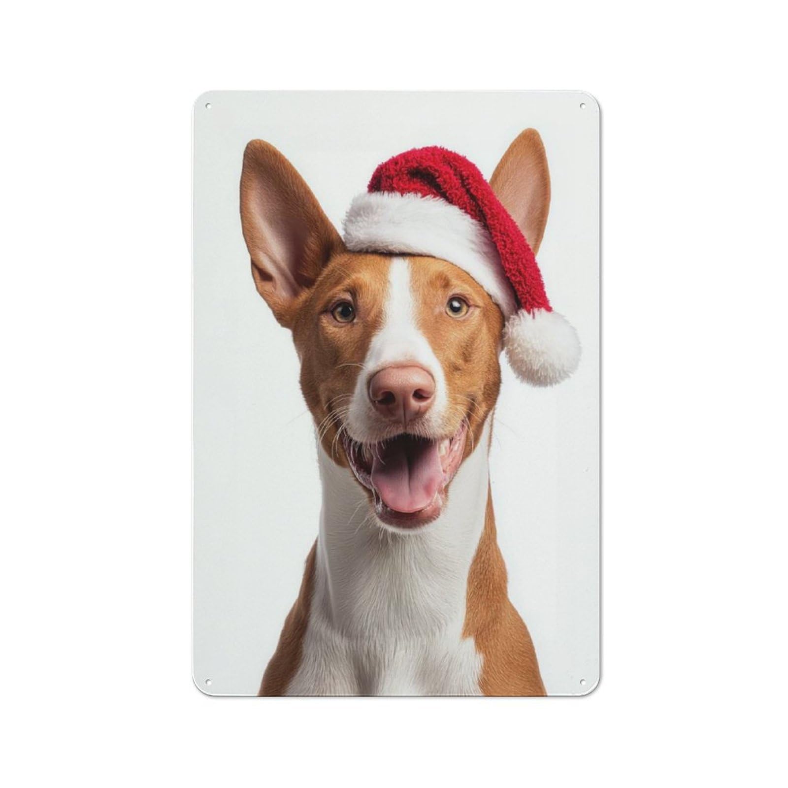 Junmoney Ibizan Hound Dog With Santa Hat Portrait Metal Sign 30X20cm With For Workshop Wall, Vintage Decor, A Decorative Christmas Gift For Metal Sign Collectors