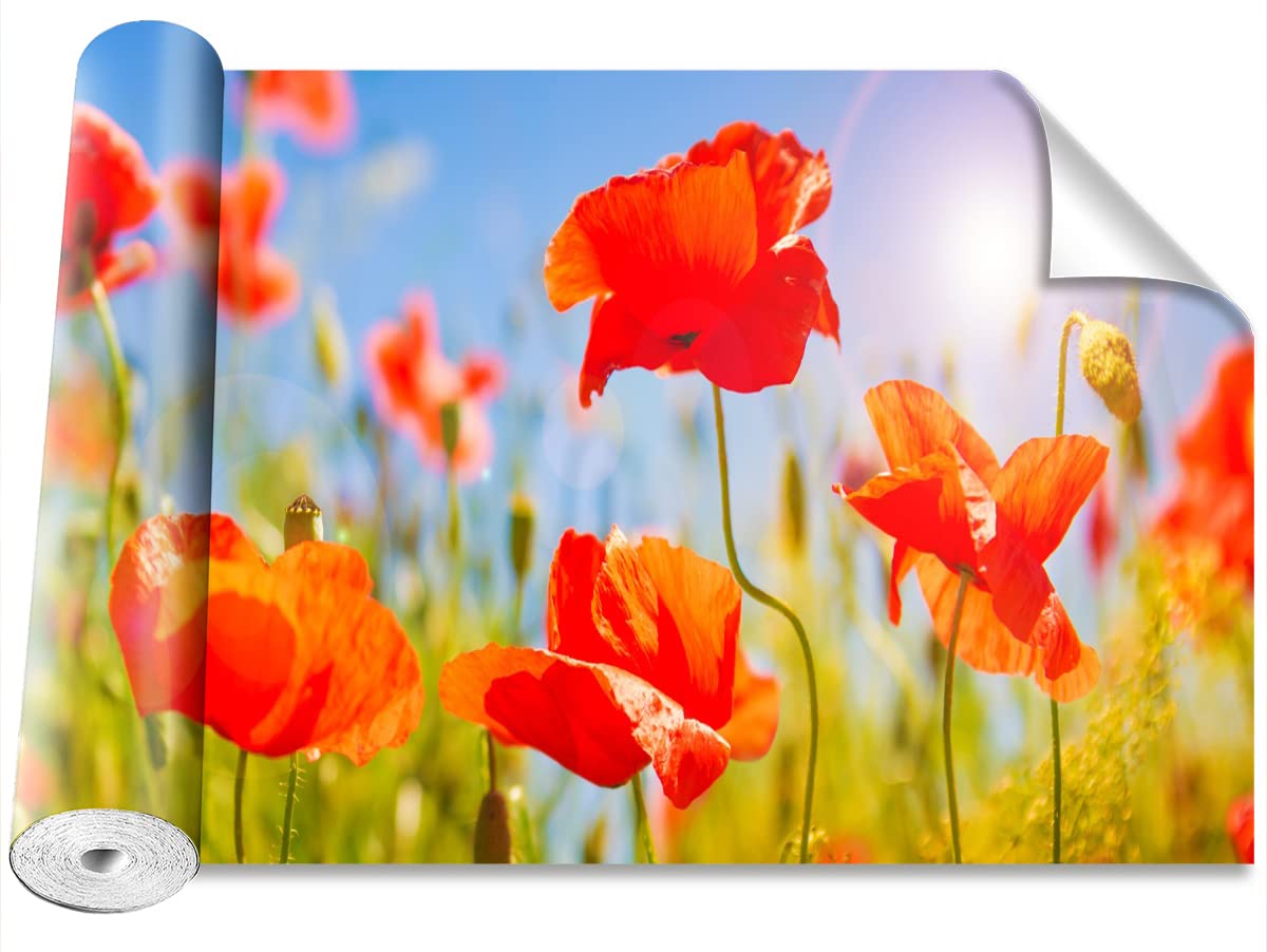 Stickers muraux coquelicots rouges Tulup pour masquer les imperfections de vos murs