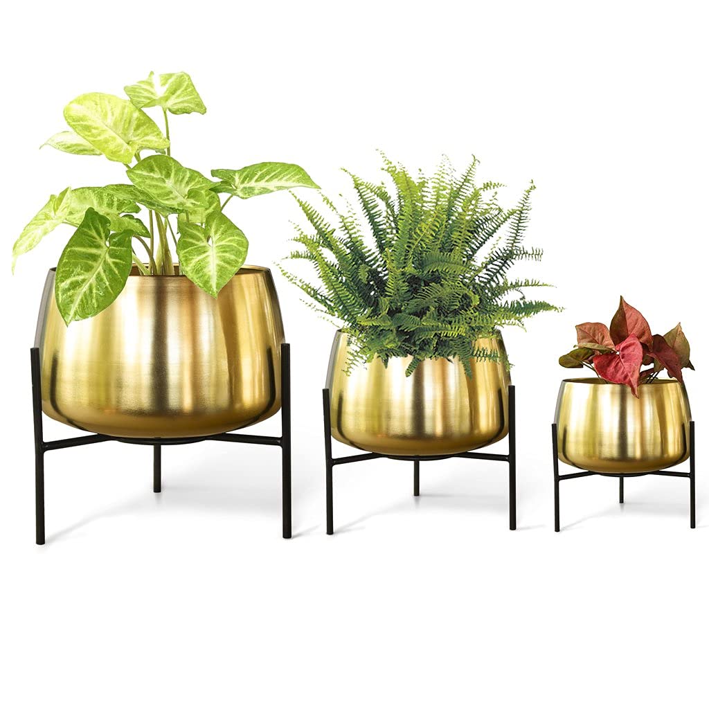 See full amazon price history chart for TrustBasket Indus Planter Set of 3 (Gold Colour)| Heavy Duty Highly Durable Floor Pot with Stand for Living Room, Indoor and Outdoor Balcony Home Decor TrustBasket Indus Planter Set of 3 (Gold Colour)| Heavy Duty Highly Durable Floor Pot with Stand for Living Room, Indoor and Outdoor Balcony Home Decor (B098P5Q75B) Amazon Price History, Amazon Price Tracker