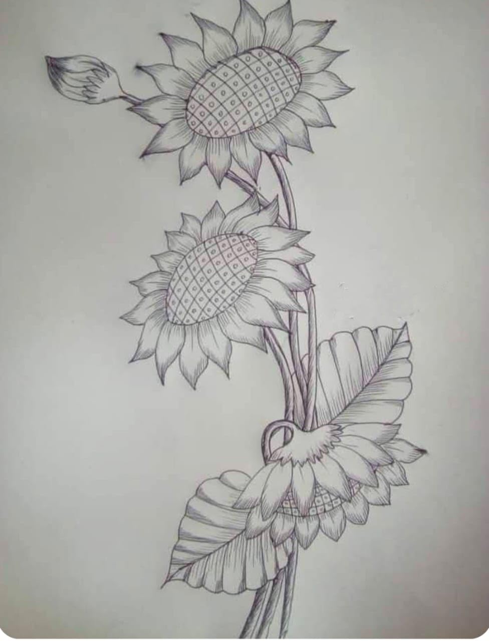 ZOFYASH Sunflower Pencil Sketch for Painting/Embroidery Design on Tracingpaper for Pillow/Bedsheet/Kurti etc.-picture-23