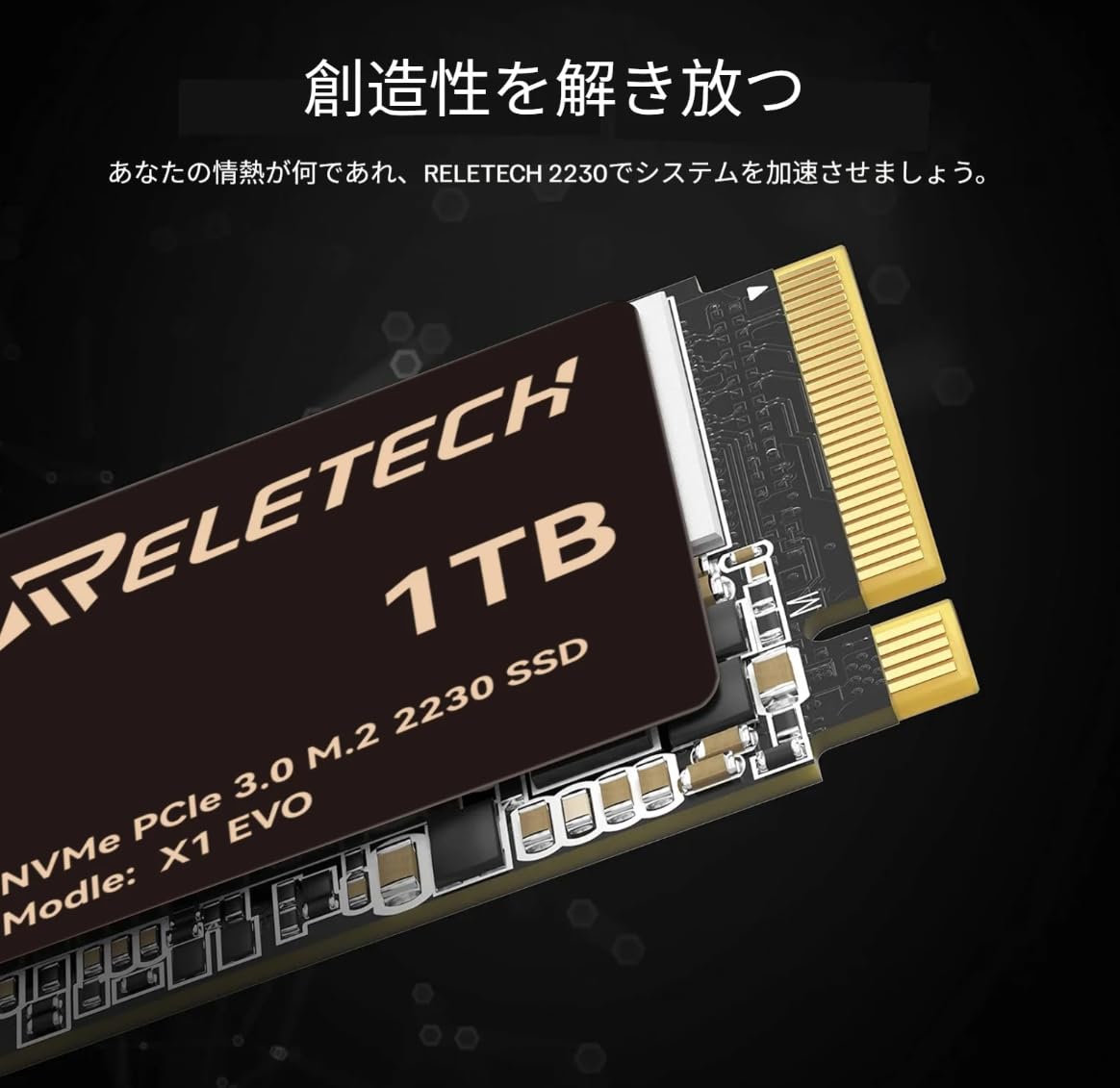 Amazon | RELETECH X1 EVO NVMe SSD M.2 2230 PCIe 【Steam Deck/ASUS