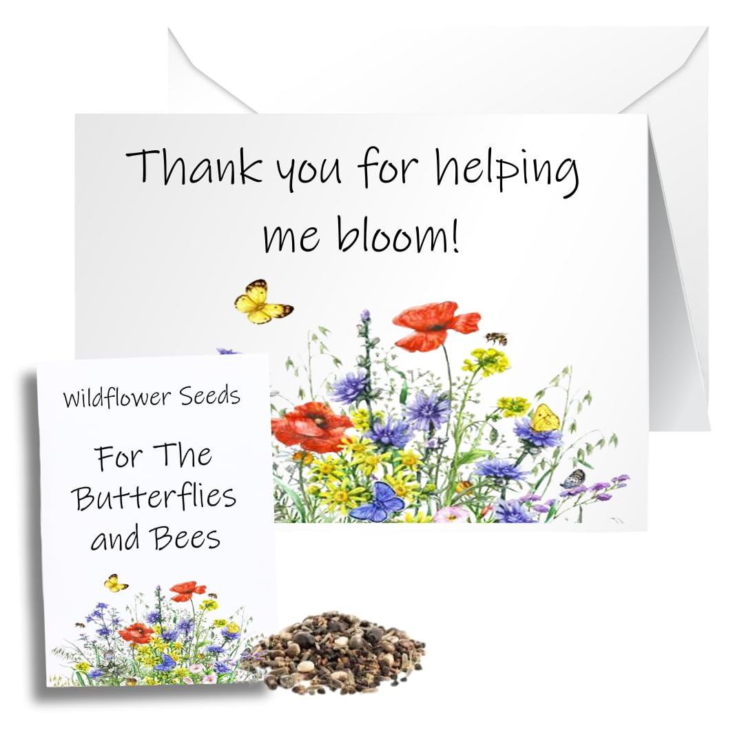 Unique Teacher Thank You Card with Wildflower Seed Packet Teacher Gift - Perfect End of Year Gift for Teachers - Helping Me Bloom