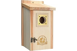 Bird Houses for Outside Clearance with Copper Guard