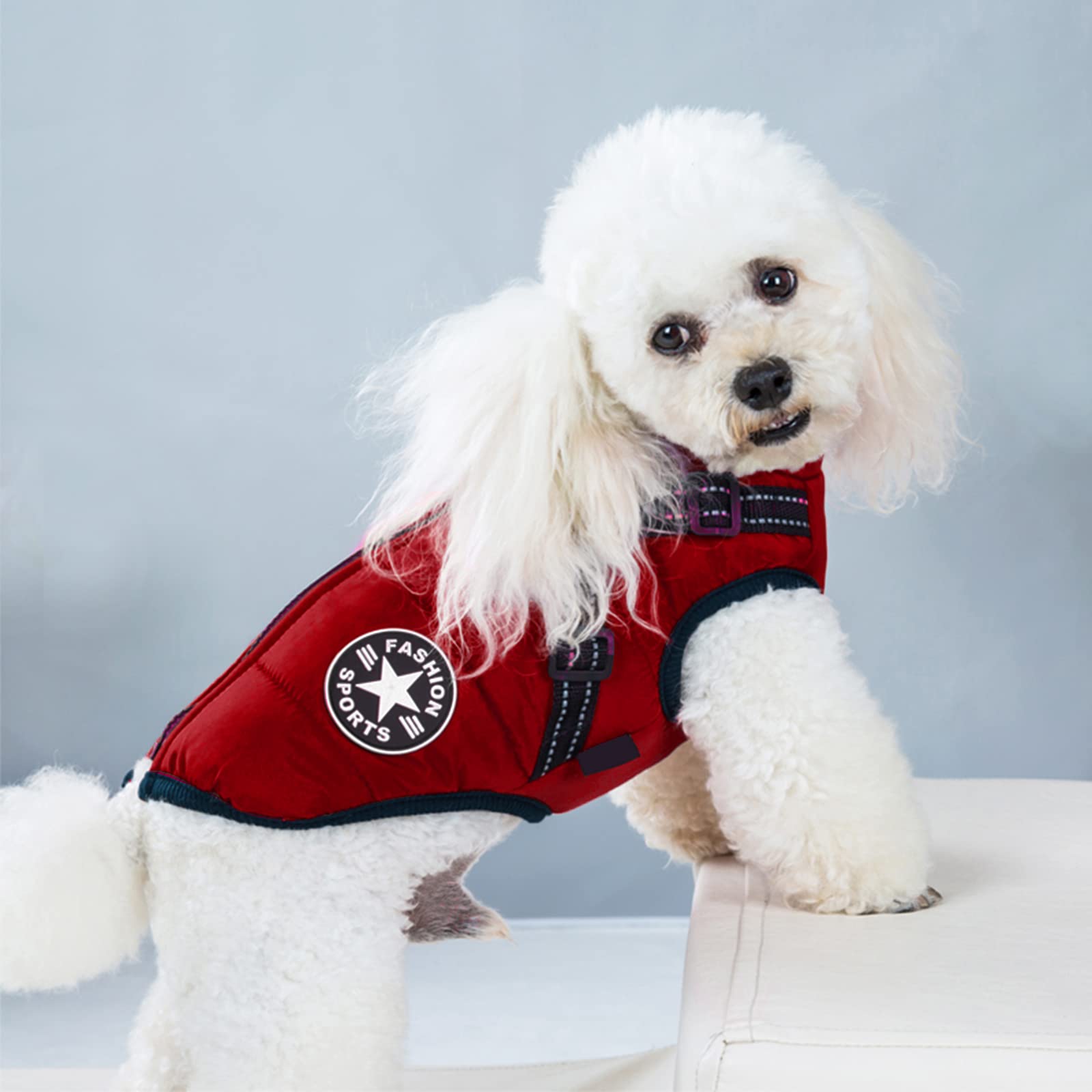 Aiboria Hundejacken für den Hundemantel Winter Winddicht Wasserdicht Skifahren Hundeweste Fleece Warme Hunde Jacke Mit Brustgurt Gurt Violett M