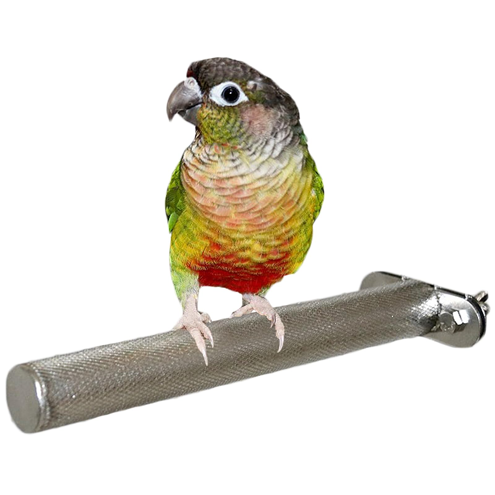 Amazon | Silver & Style 止まり木 ステンレス モモンガ インコ 爪研ぎ