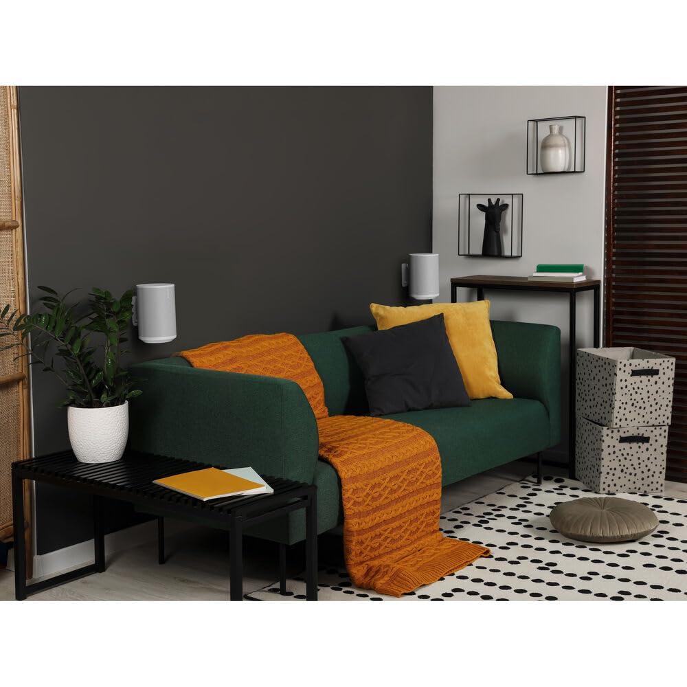 Flexson Support Mural pour Sonos ERA100 - Noir (Simple)