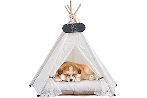 PawHut Mini TeePee Tent for Pets