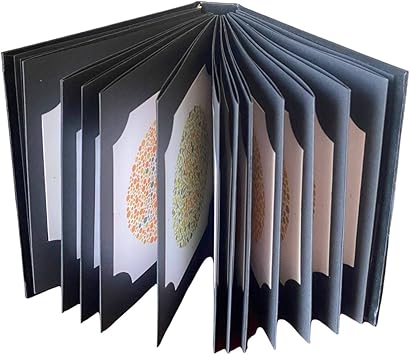 ISHIHARA Color Vision Test Book with 14 Plate with User Manual Occluder