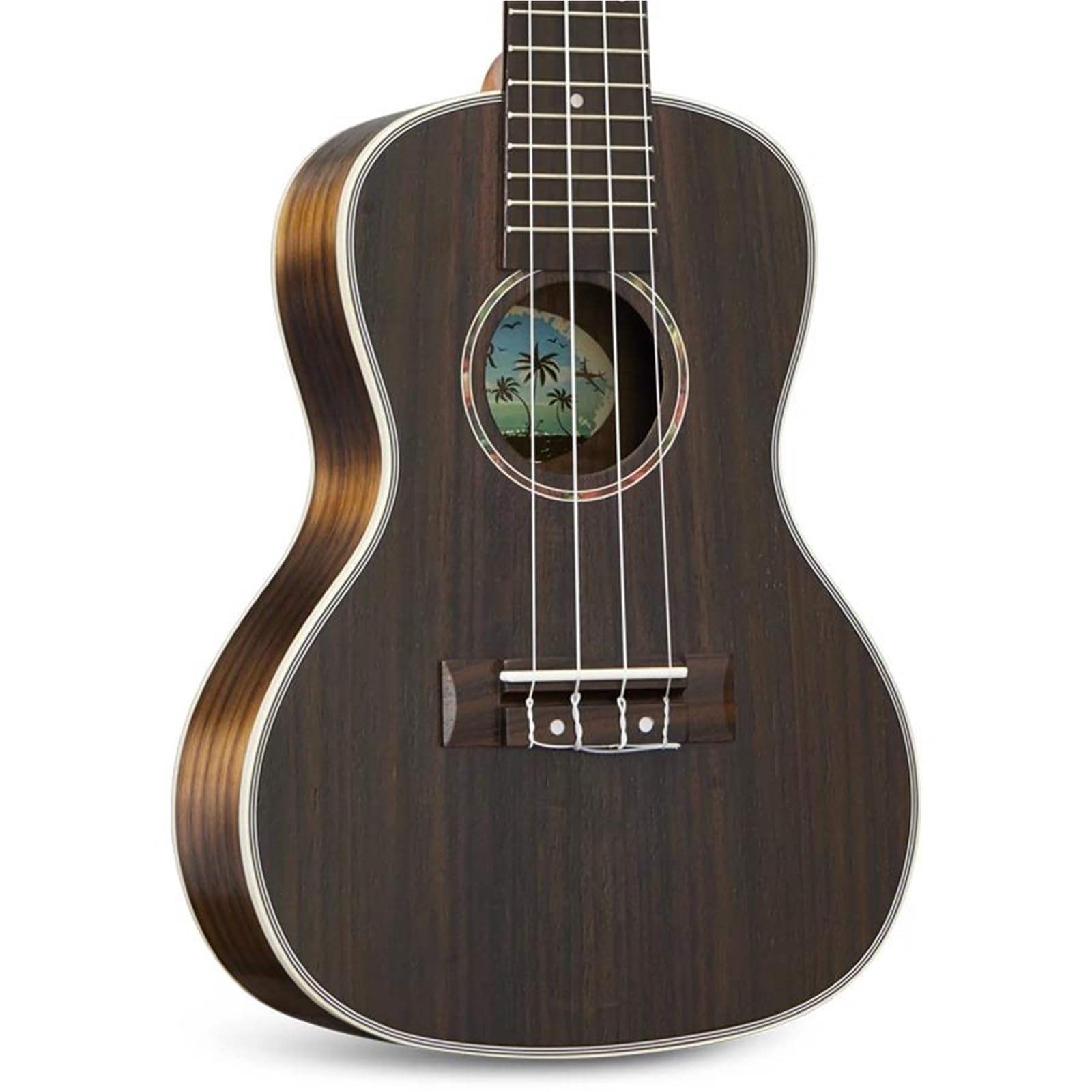 Ukulele Per Principianti Dimensioni Concerto Ukulele In Legno Di Mogano Accessori Inclusi(26 inches)