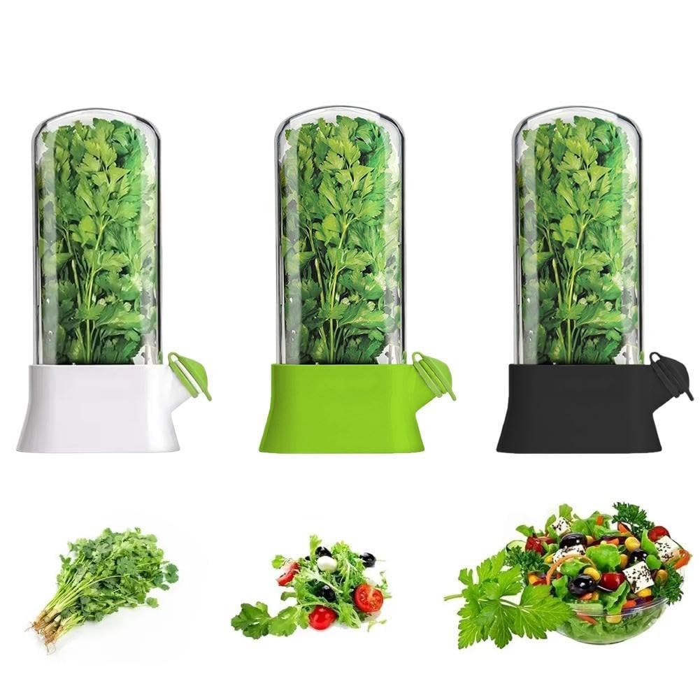 Contenitori per erbe fresche, contenitore per verdure ed erbe aromatiche, per coriandolo, prodotti freschi, frigoriferi, contenitori ermetici per alimenti, conservanti per erbe ecologiche