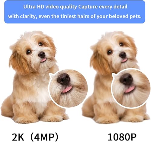 Miniatura 4 de LUOHE Cámara espía oculta  Cámara de salida de pared  Soporta WiFi de 2.4G y 5 GHz  Cámara secreta inalámbrica HD 2K  Cámaras ocultas de niñera