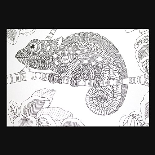 Decorando sua casa com o reino animal