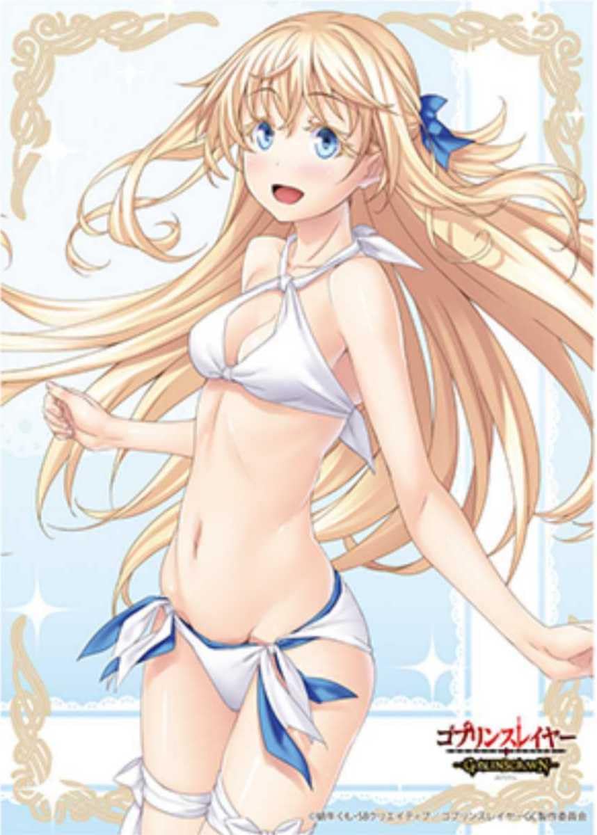 ゴブスレ タペストリー 特典 女神官 ビキニアーマー ゴブスレ タペストリー 特典 女神官 ビキニアーマー - メルカリ