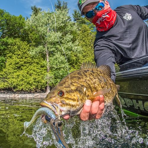 Image of Strike King Rage Swimmer Swimbait