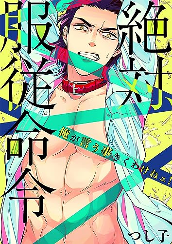 絶対、服従命令~ 俺が言う事きくわけねェ!~(1) (ボーイズファン)