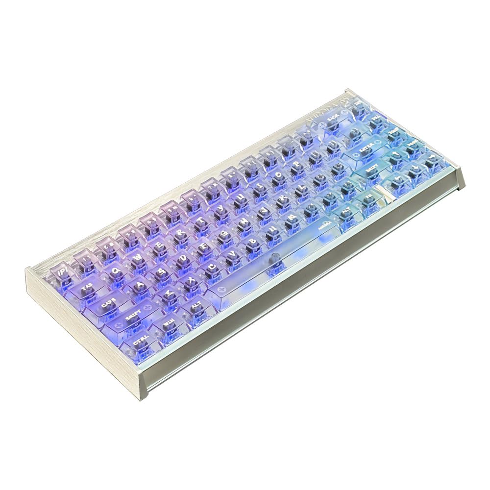 IPI AURORA65 Silver ラピッドトリガー キーボード Amazon.co.jp: 【正規代理店品】IPI AURORA65 ラピッドトリガー