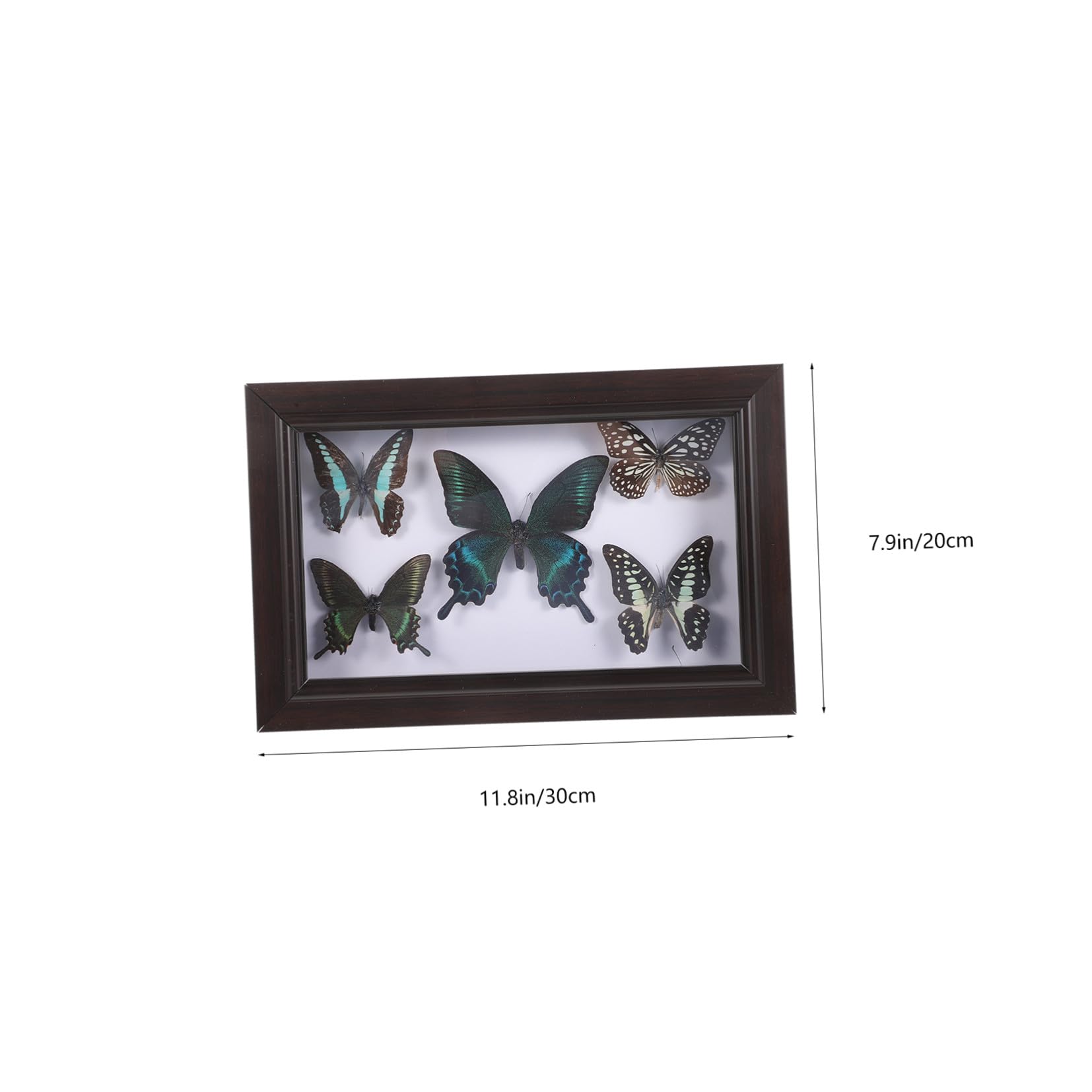 Healeved Marco Madera y Pared decoración para Escritorio con Mariposas Decorativas en Acabado Exquisito Adecuado Adornar Obsequio de Cumpleaños el Hogar