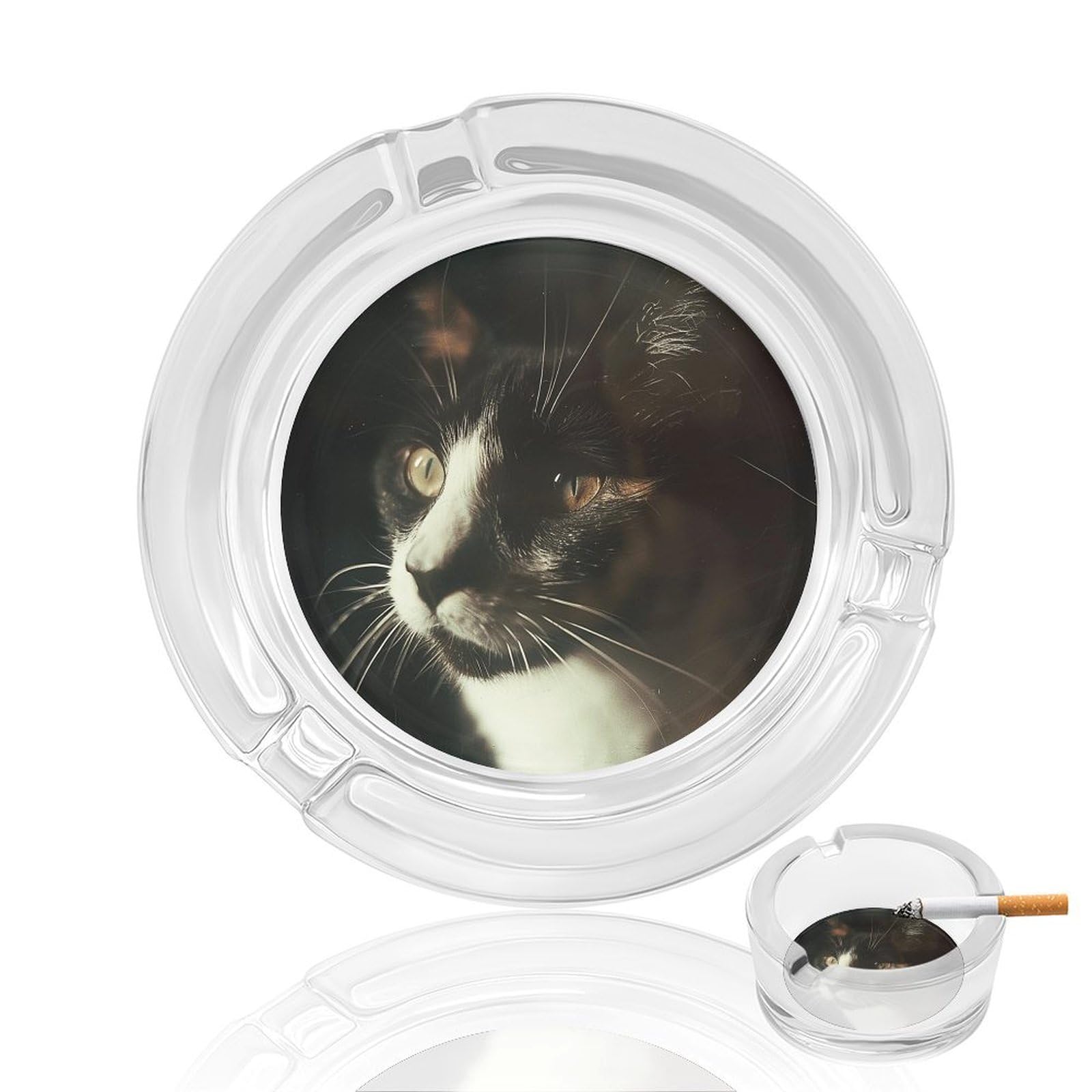 Cendrier en verre pour cigarettes design chat aux yeux blancs pour intérieur et extérieur