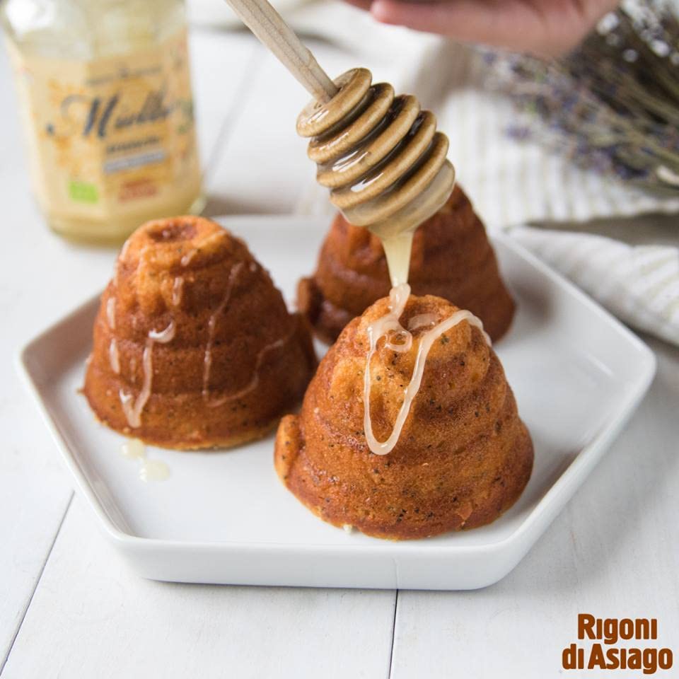 Miniatura 2 de Rigoni - Miel de los Alpes italianos, 10.58 onzas (paquete de 6)