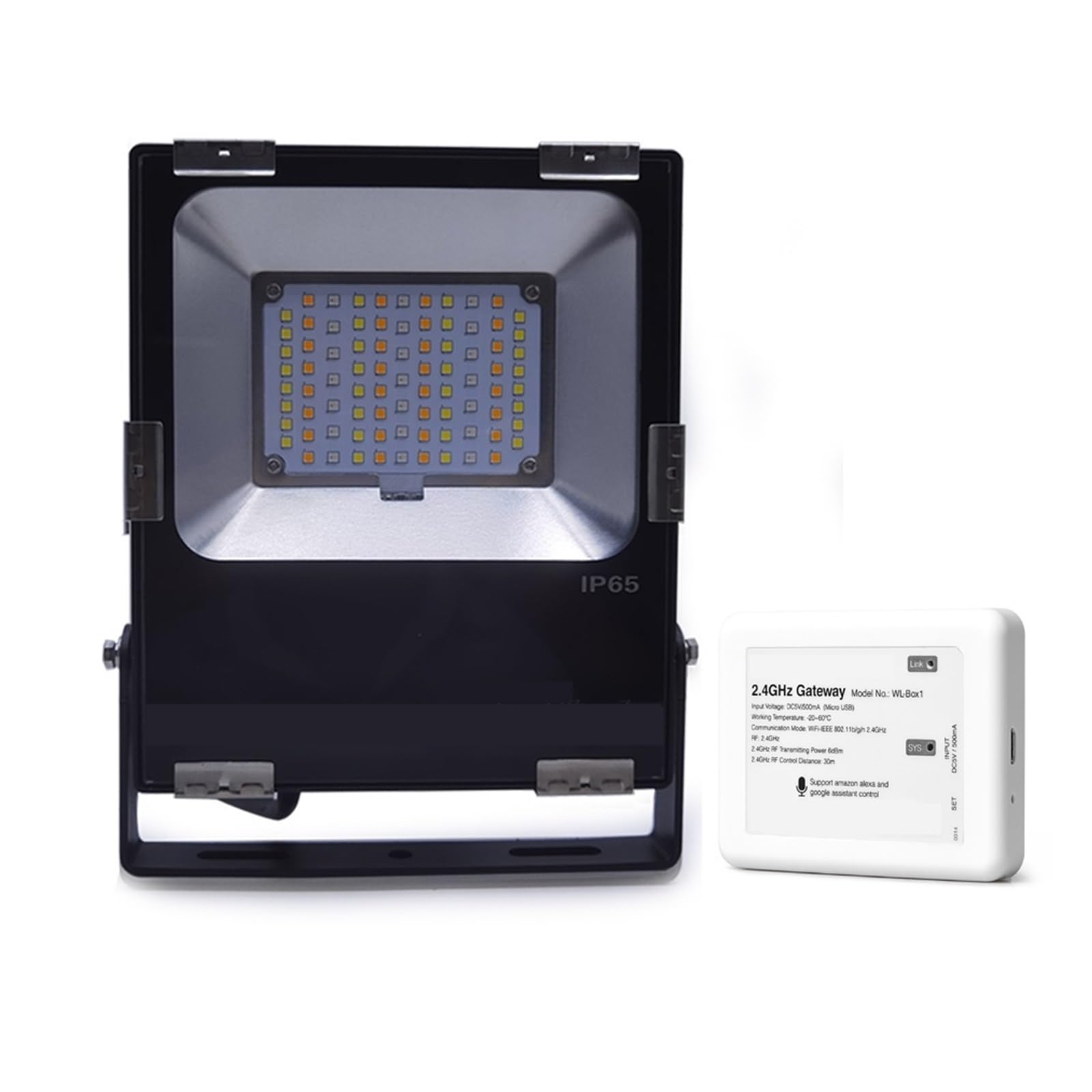 30W RGB CCT AC86-265V Smart LED Proiettore Impermeabile Esterno 2.4G Wireless WiFi APP Controllo Vocale(FUTT03 with WL Box)