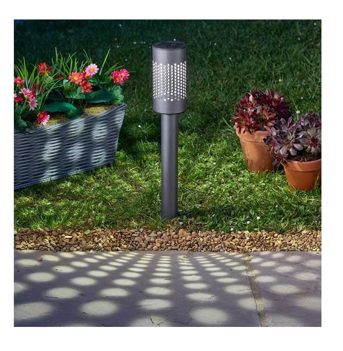 Smart Garden Products LTD 1009010 SolStar 365 Solar Stake Light 10 Lumens