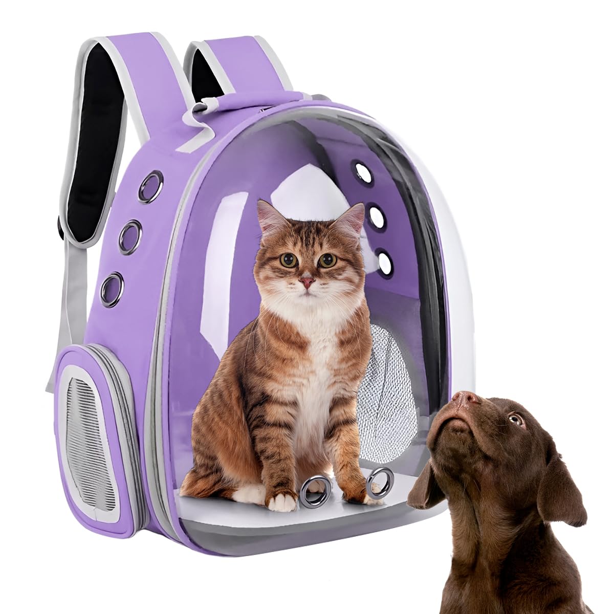 Raganet, Mochila Transportadora de Mascotas, Perros y Gatos, Back Pack Portátil para Mascota Pequeña (Máximo 7Kg) Medidas: Ancho 18cm Largo 31cm Altura 42cm (Morado)