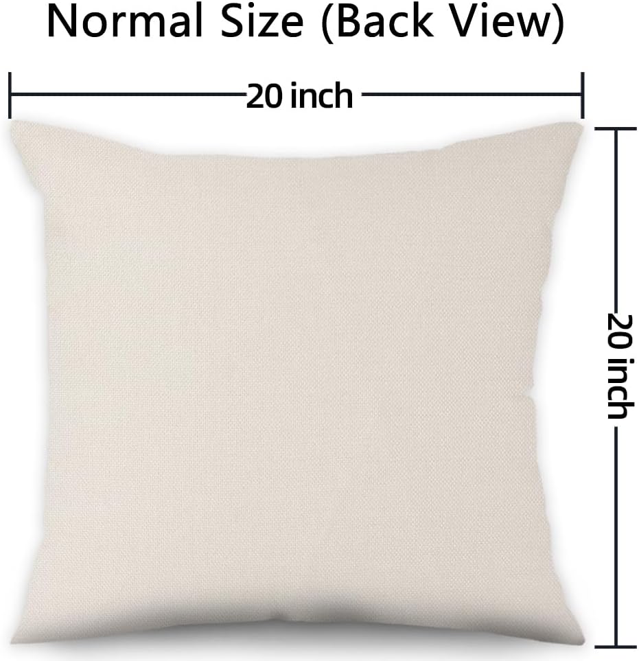 Boho Pillow Covers 20x20 Inch, Abstract Sunrise Throw Pillow Covers Terracotta and Beige Linen Pillow Cases for Sofa Couch Car, Set of 4 (No Inserts)