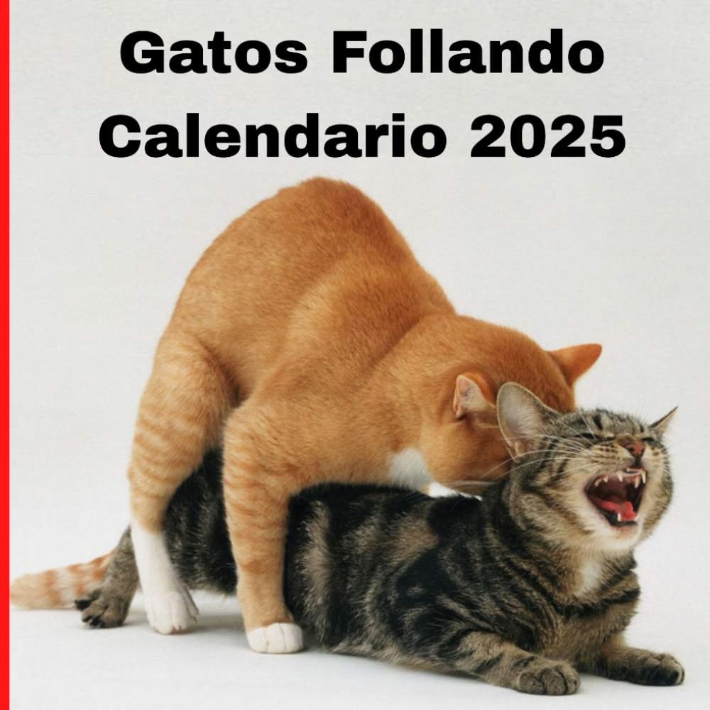 Illustration artistique de chats en posture suggestive une touche d'humour et d'érotisme