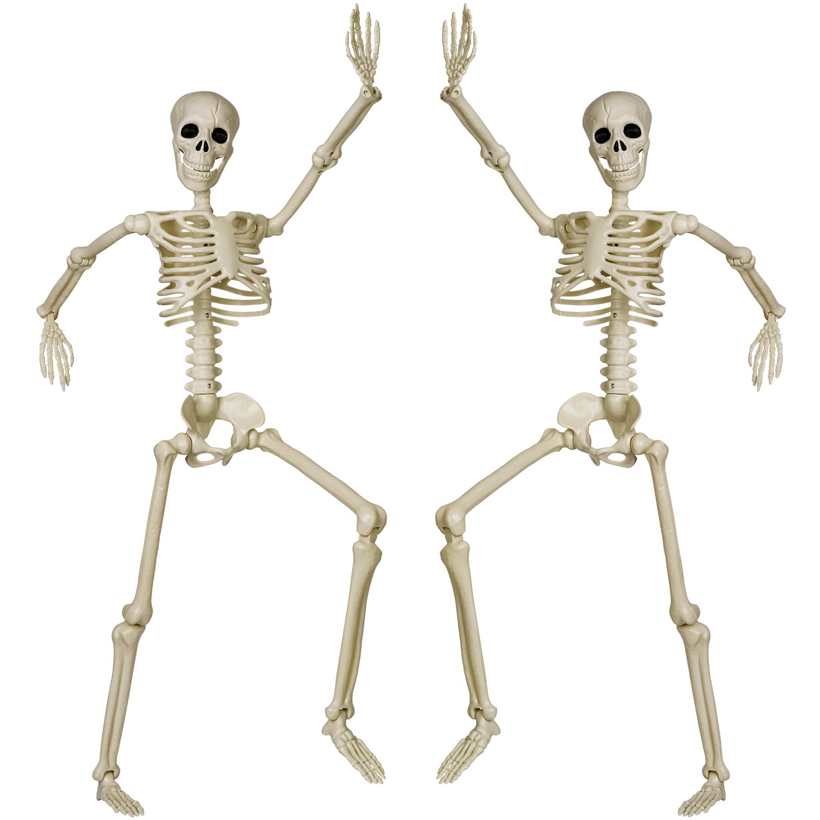 36 Foot Human Skeleton Found 36 Poseable Full Life Size Human Skeleton
