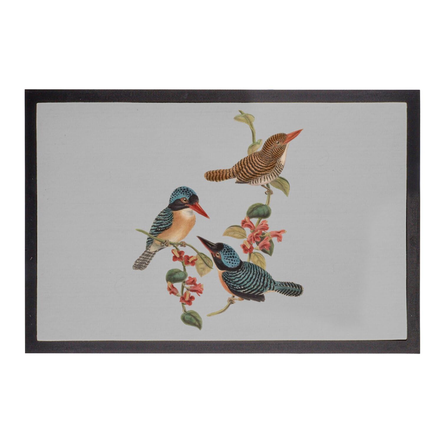 Paillasson gris oiseaux exotiques de 75x50cm idéal pour décorer l'entrée de votre maison