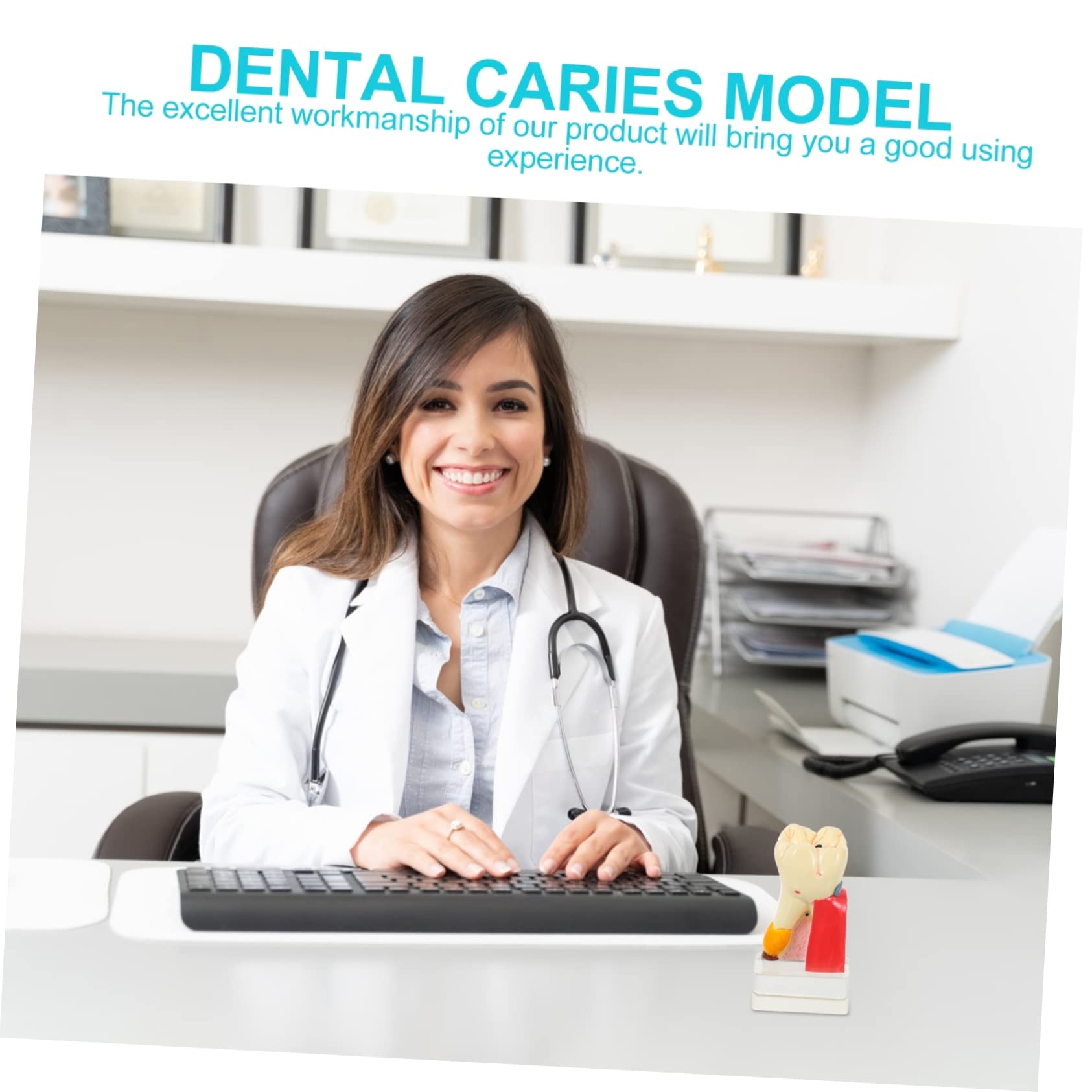Modello Anatomico del Dente 4x per Carie, Resina, Didattico | Beige, per Dimostrazione e Insegnamento Odontoiatrico, Formato Compatto per Studio e Spiegazione