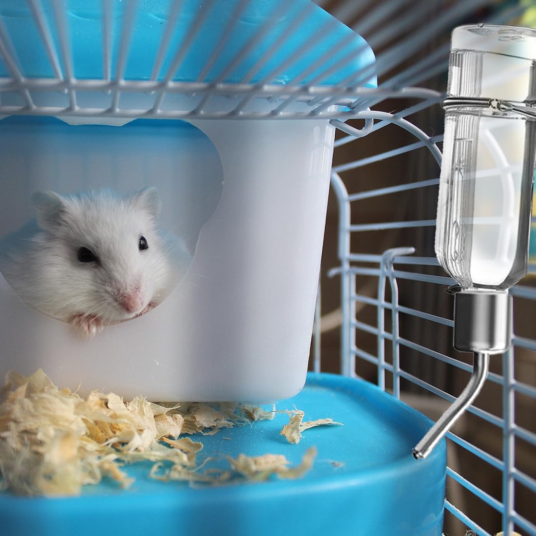 Abreuvoir Automatique Suspendu Pour Lapins Et Rongeurs - 500 Ml - Système Gravitaire - Matériau PP Vert - Facile à Nettoyer