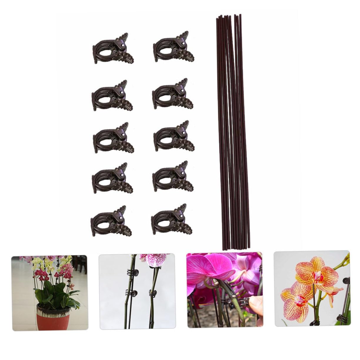 Toddmomy 2 Sätze Teiliges Set Pflanzenfixierungsclips Und Eisenstützen Für Kletterpflanzen Wetterfeste Und Rostfreie Halterungen Für Garten Für Orchideen Und Rankpflanzen 20 Stück * 2