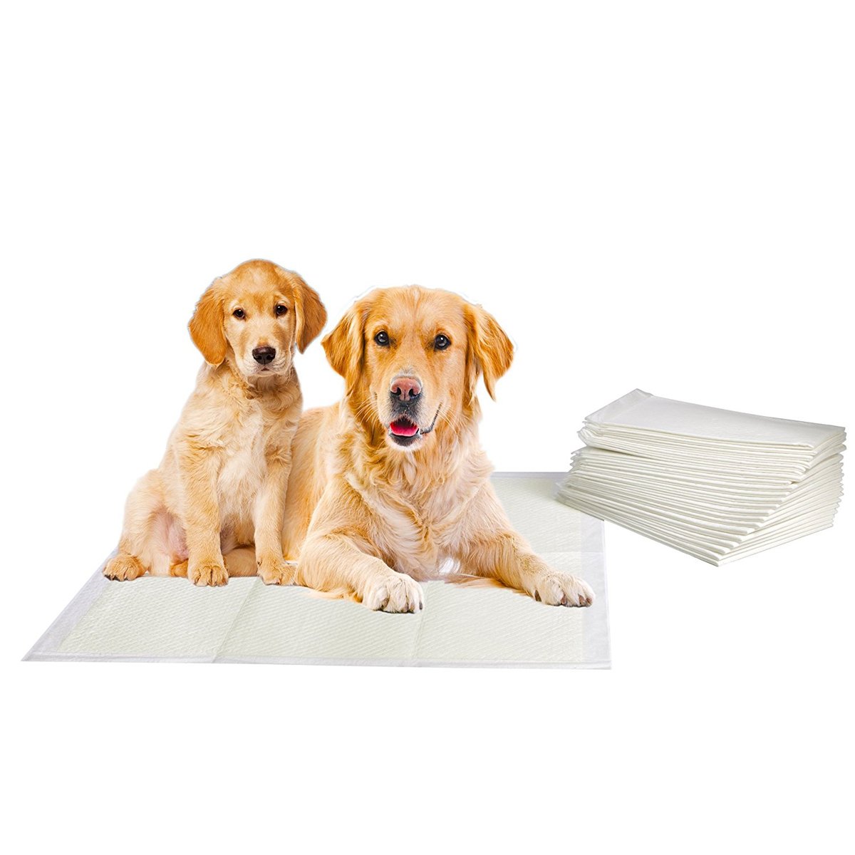 PETCUTE Tapis éducateurs pour Chiots Super absorbants Pee d'entraînement Bleu 4tailles