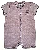 Babyspieler Petit Bateau Spieler Einteiler Strampler 62798 kurz aubergine (1 Mon.- 54 cm)