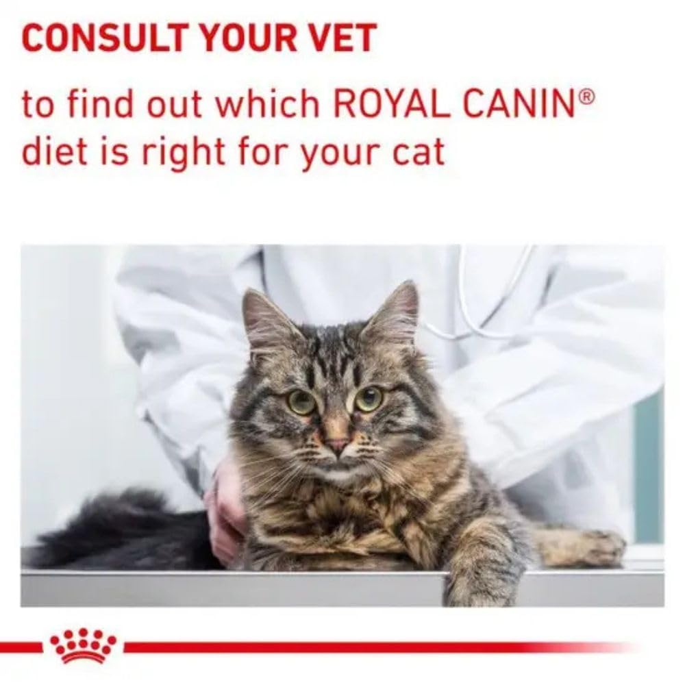 Royal Canin Cibo per Gatti Bilancia di sazietà neutrata - 8 kg