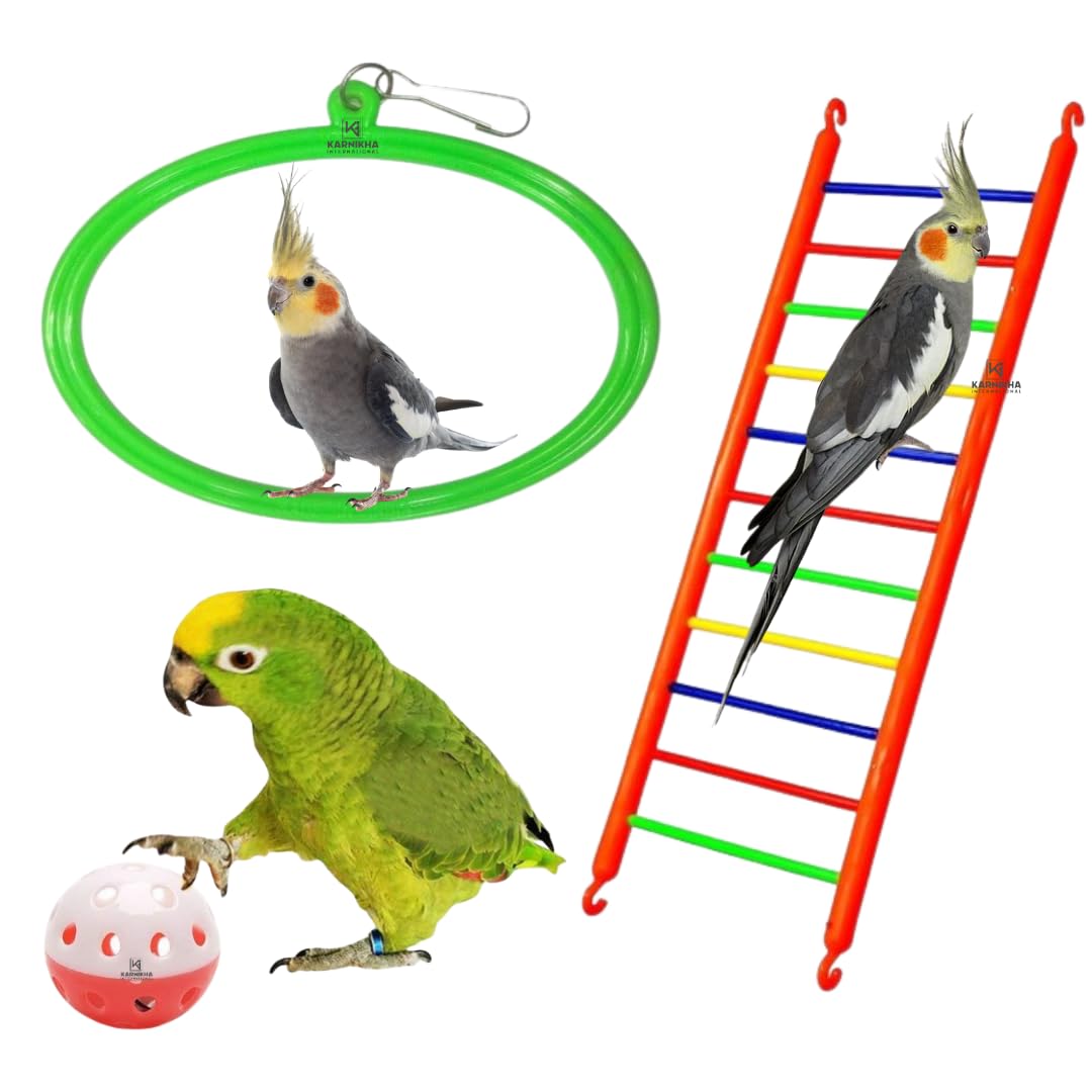 Karnikha’s Interactive Bird Play Toys | Hanging Swing, Climbing Ladder & Ball Toy for Budgies, Love Birds, Conure, Finches & Cockatiels | Perfect for Small & Medium Birds | Combo Pack of 3-image-36