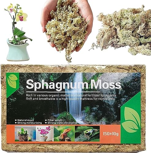 Denxahao Sphagnum Moos Wassermoos Trockenmoos Wasser Gras Substrat Orchideensubstrat Spagnummoss für Bonsai Pflanzen Orchideen Terrarium Blumenerde Zimmerpflanzen Torfmoos für Garten (1 Stück)