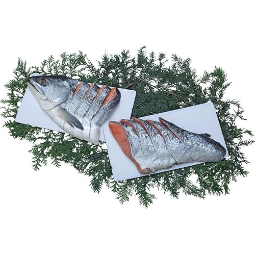 yΕMtg 2025z kCYѐVpؐg (n̂)