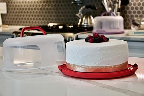 Miniatura 2 de Top Shelf Elements - Porta pasteles redondos para pasteles de hasta 10 pulgadas, soportes portátiles para tartas, caja de pasteles de dos caras con