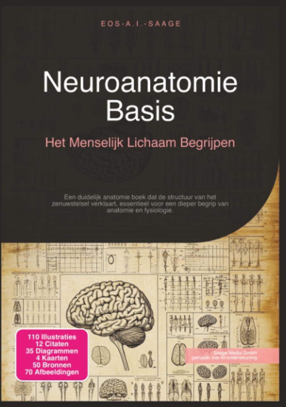 Neuroanatomie Basis: Het Menselijk Lichaam Begrijpen (Anatomie)