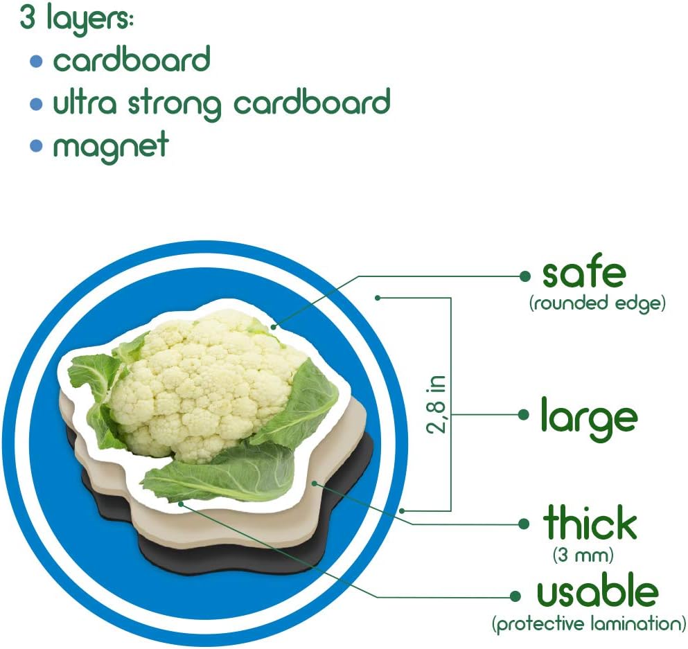 25 Fridge Magnets for Toddlers - Vegetable Kids Magnets for Fridge - Toddler Magnets for Refrigerator - Magnetic Animals - Fridge Magnets for Kids - Animal Magnets - Toddler Fridge Magnets